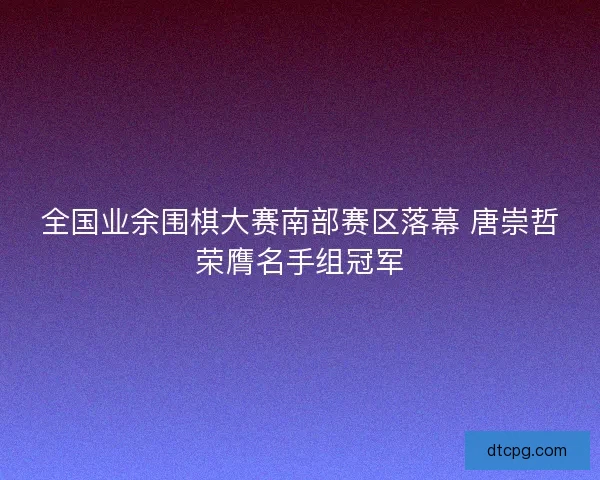 全国业余围棋大赛南部赛区落幕 唐崇哲荣膺名手组冠军